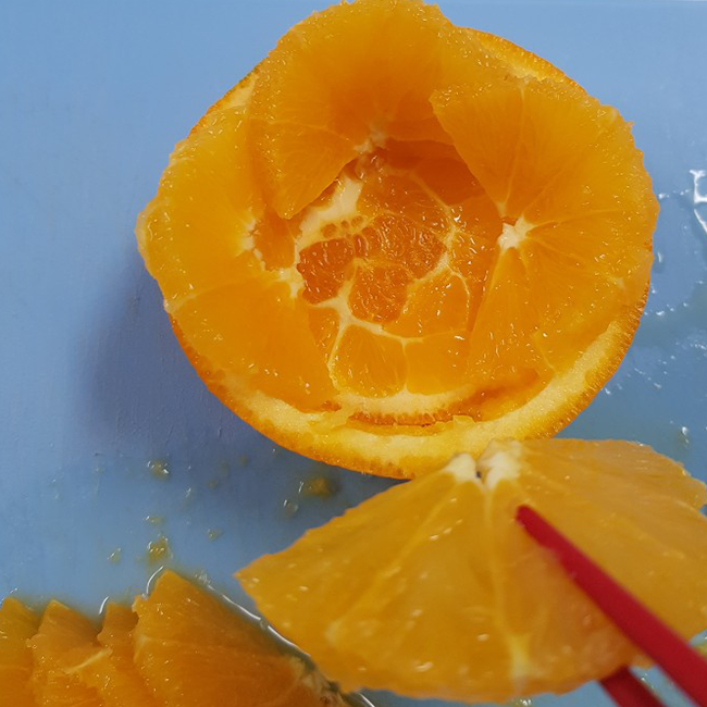 果物の切り方 オレンジ お客様が来たらぜひやって見てほしい とっても簡単 オレンジの飾りきり バラ